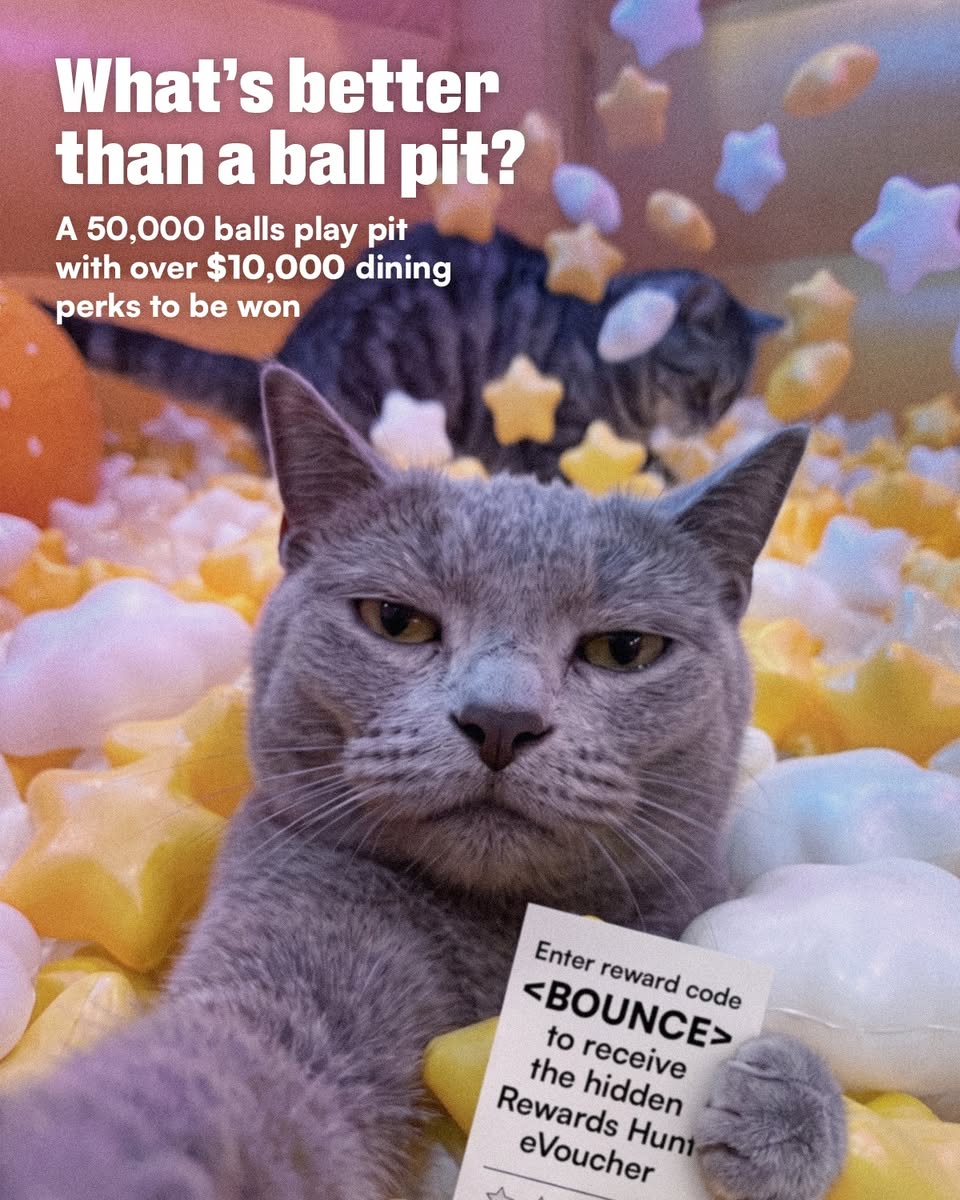 50,000-ball play pit with hidden dining rewards