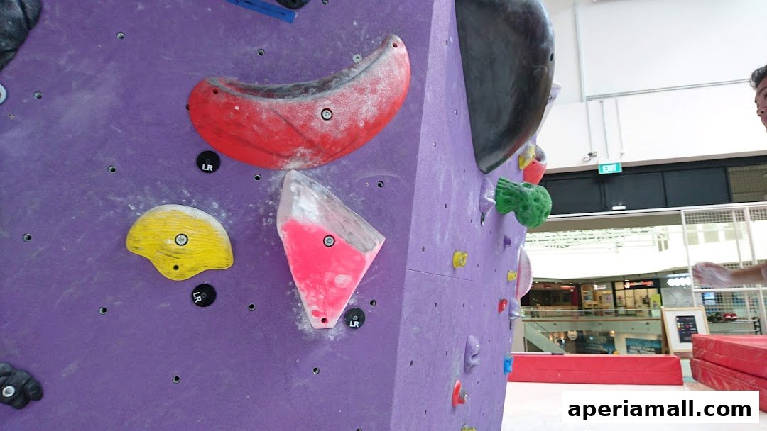Close-up of a purple climbing wall with colorful holds and a person's hand visible.