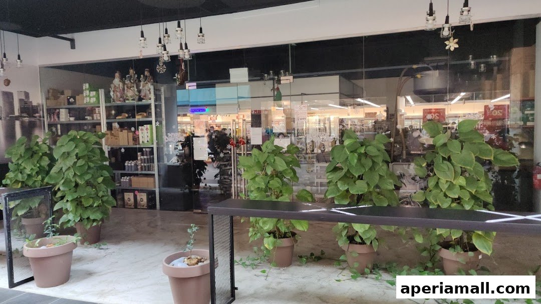 Interior view of Ortus by Grind Coffee with plants and shelves of products.