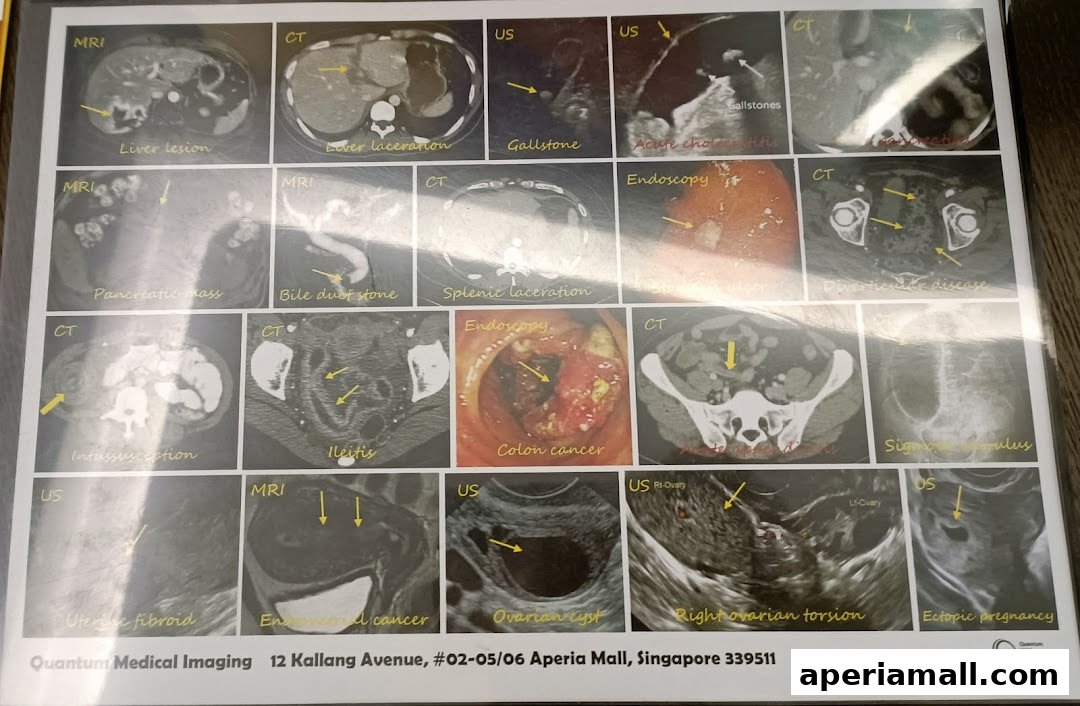 A collage of medical imaging scans showing various conditions and diagnoses.