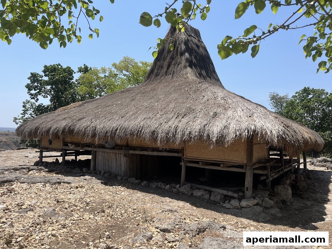 A traditional thatched-roof house on stilts in a dry, rocky landscape.