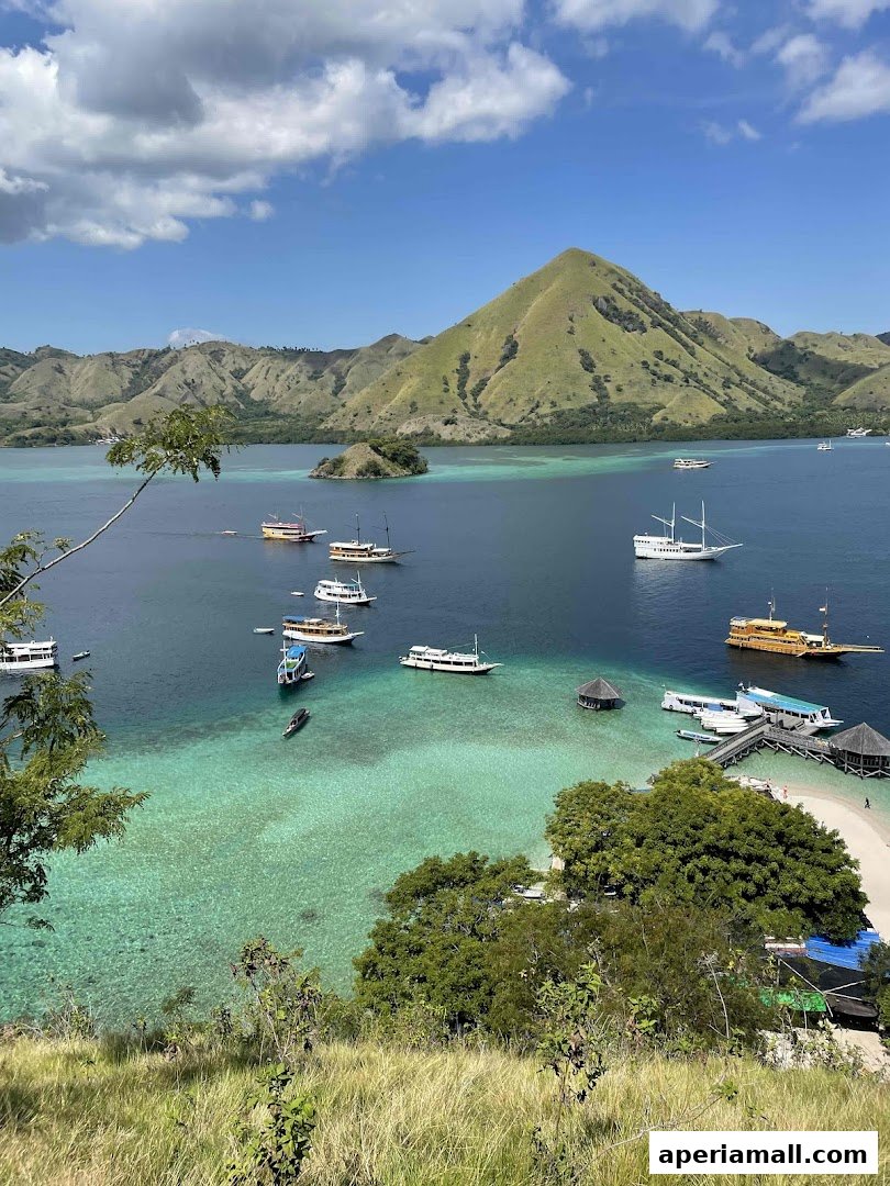 A scenic view of a bay with numerous boats anchored in clear turquoise waters near a lush green island.